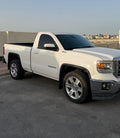 SUV Removable Tint
