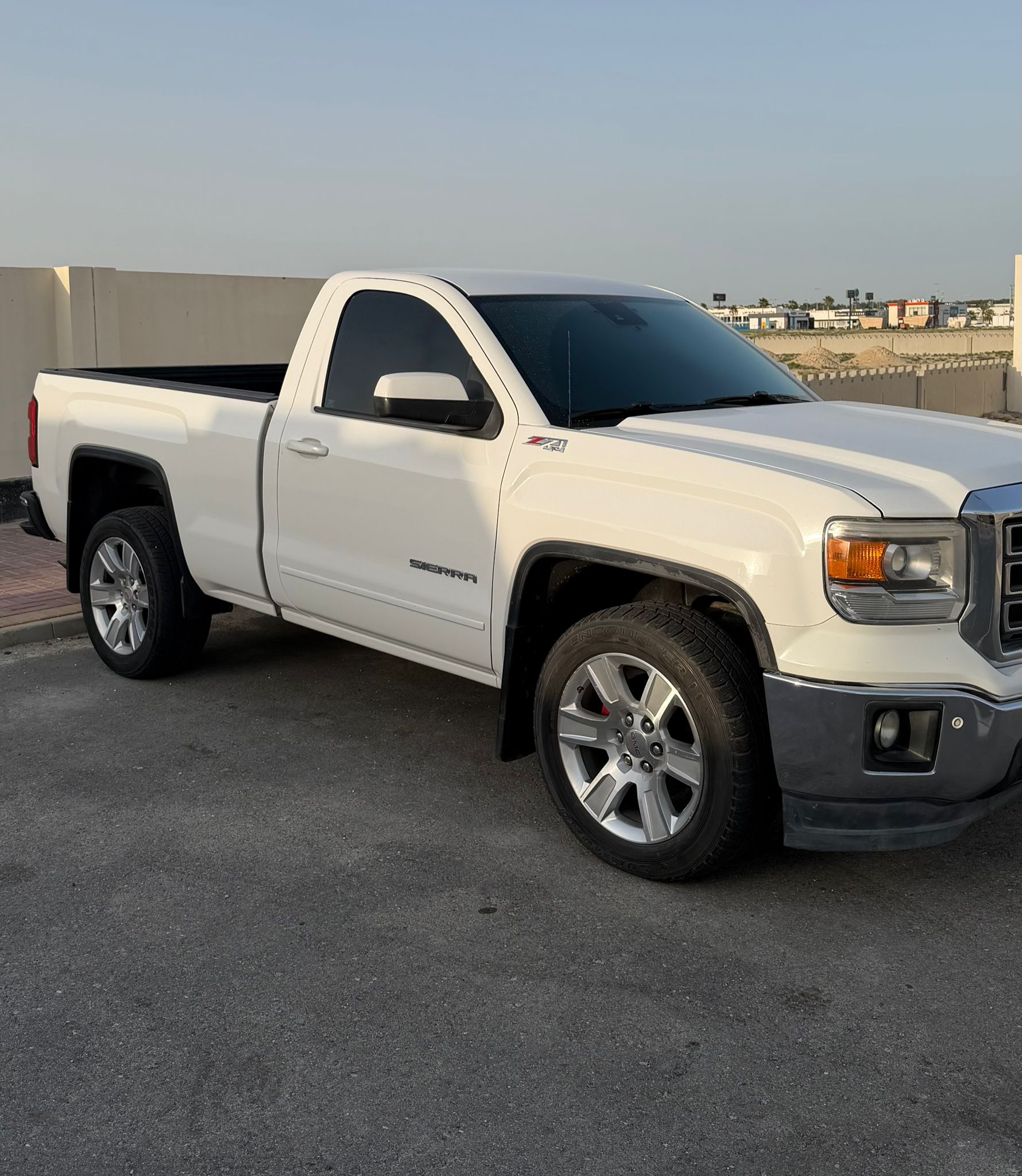 SUV Removable Tint