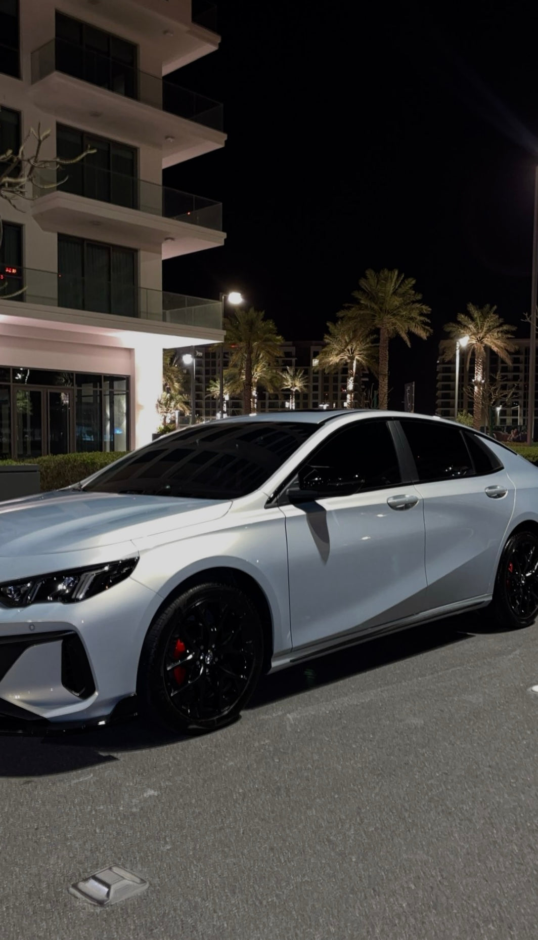 Sedan Removable Tint